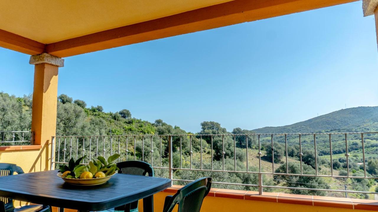 Appartamenti Dodi Lt - Pms Casevacanze Budoni Exterior photo